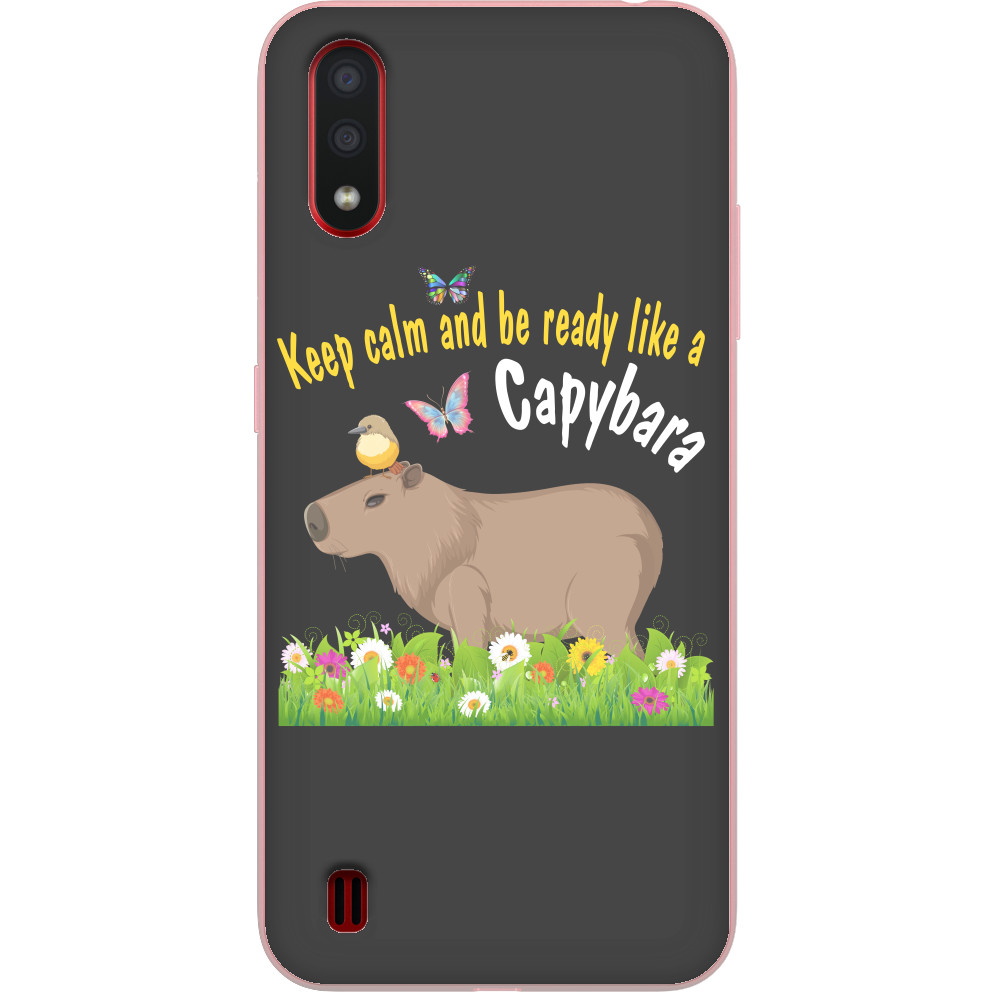 Чехол Samsung - Keep calm Capybara - Mfest