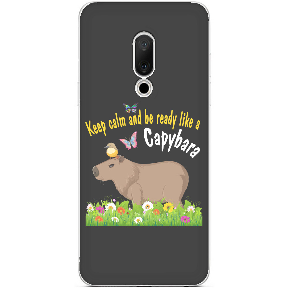 Чехол Meizu - Keep calm Capybara - Mfest