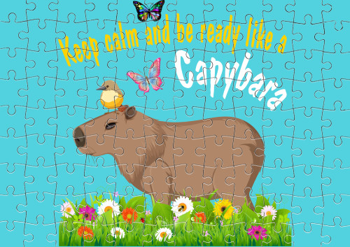 Keep calm Capybara