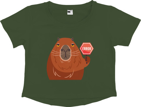 Capybara Error