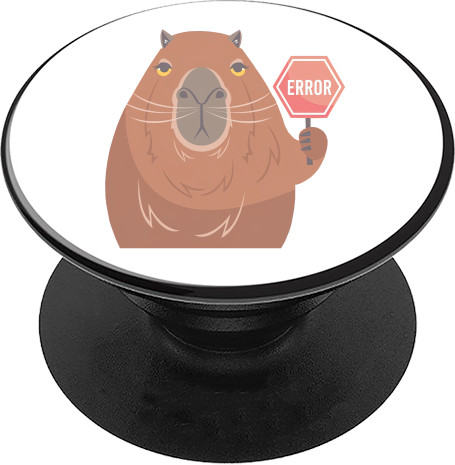 Capybara Error