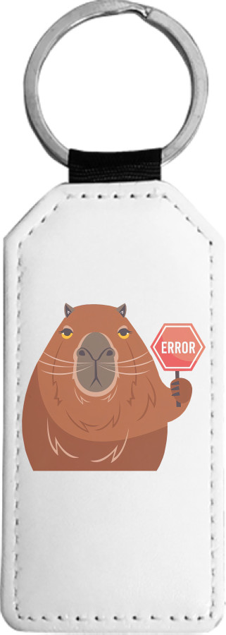 Capybara Error