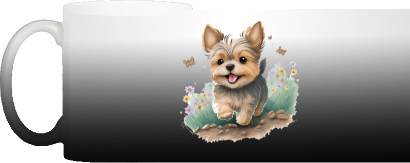 Yorkshire Terrier