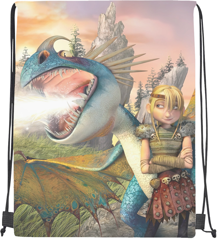 Drawstring Bag - Dragons Riders of Berk - Mfest