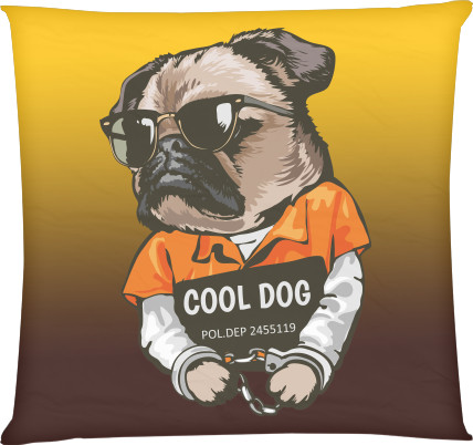 Cool dog