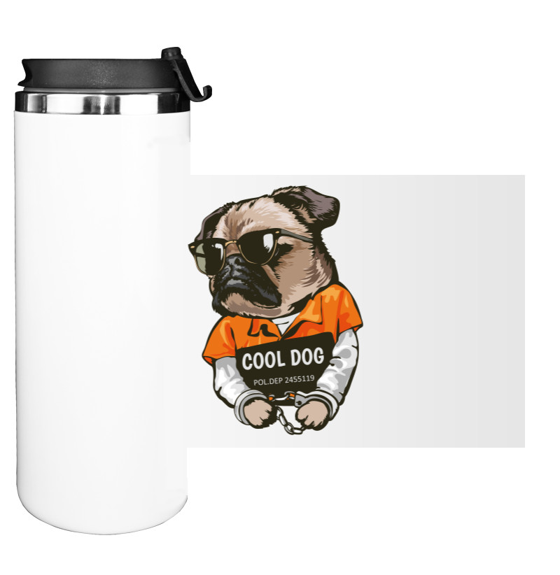 Water Bottle on Tumbler - Cool dog - Mfest