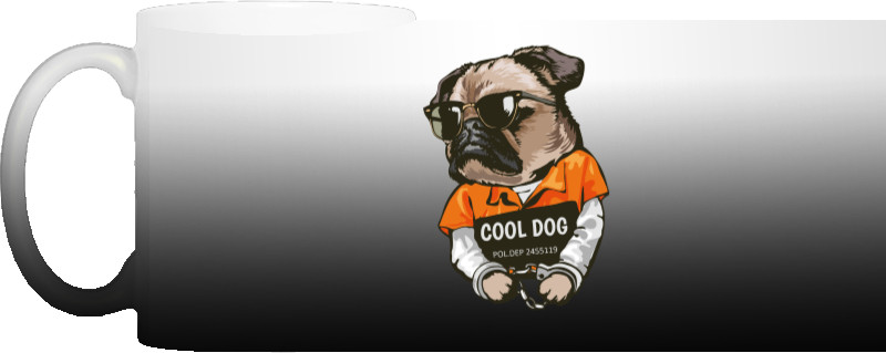 Cool dog