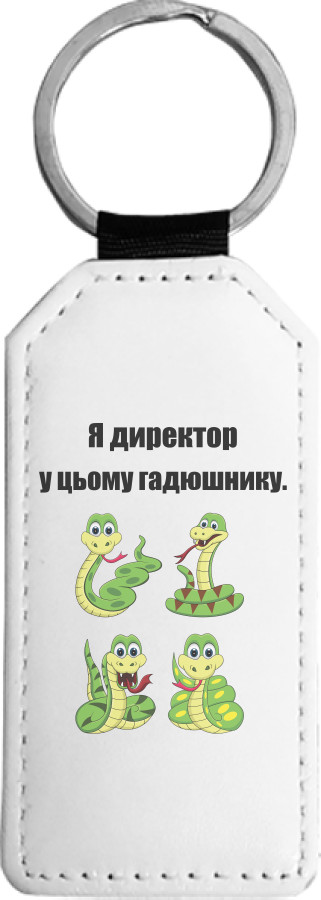 Я директор