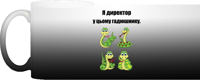 Я директор