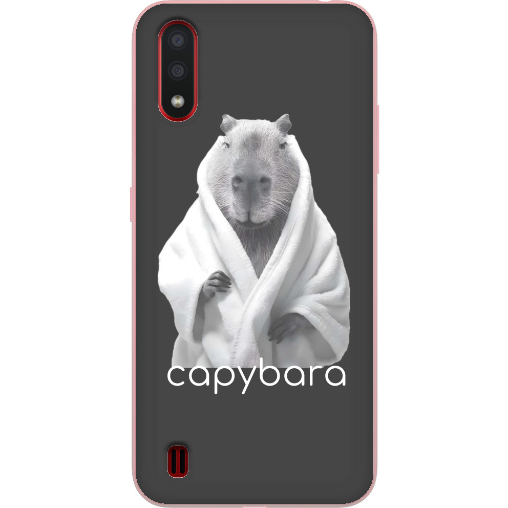 Чехол Samsung - Capybara in a robe - Mfest