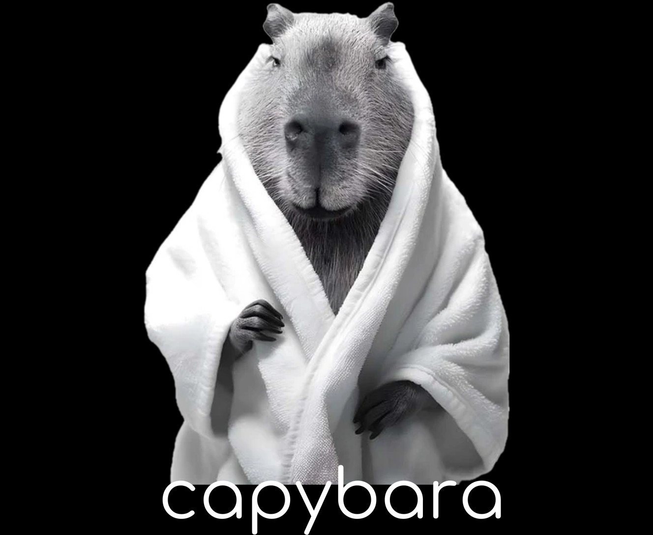 Capybara in a robe