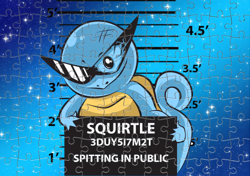 Pokemon Squirtle mugshot