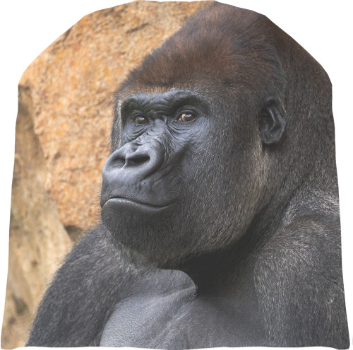 Gorilla