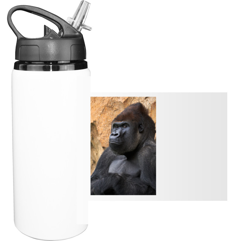 Sport Water Bottle - Gorilla - Mfest