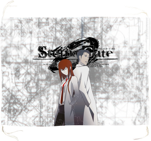 Брама Штейна / Steins Gate 3