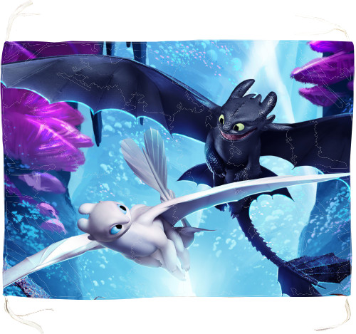 Flag - How to Train Your Dragon 8 - Mfest