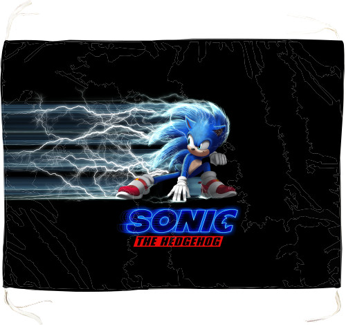 Sonic the hedgehog