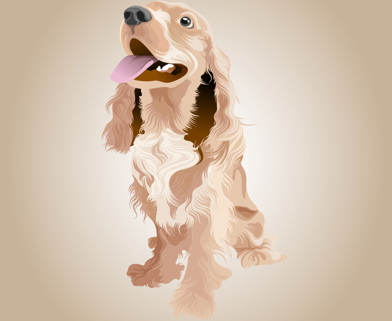  Spaniel