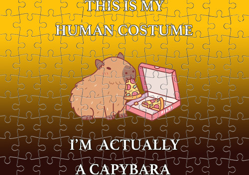 This Is My Human Costume