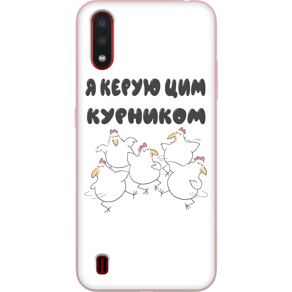 Я керую цим курником