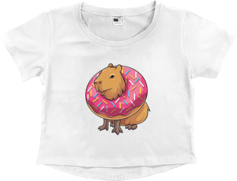 Capybara and donut