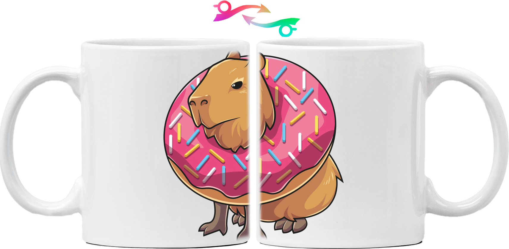 Capybara and donut