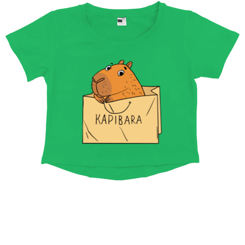 Capybara in a bag