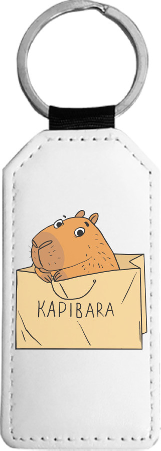 Capybara in a bag