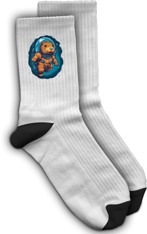 Socks - Capybara in space - Mfest