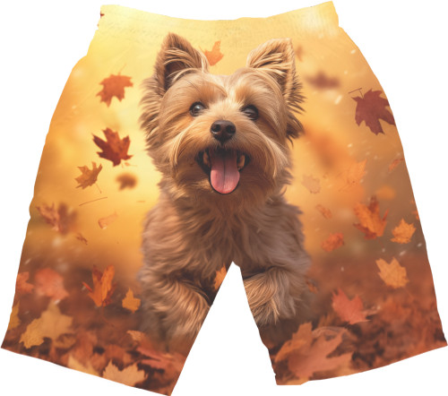 Men's Shorts 3D - York - Mfest