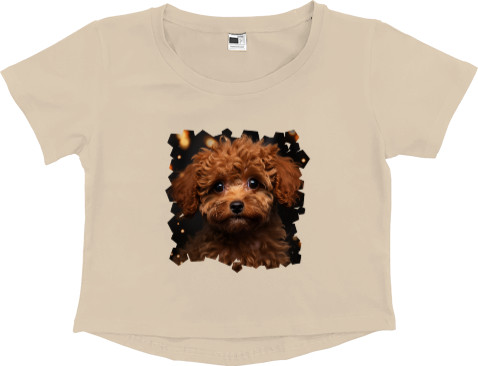 Women's Cropped Premium T-Shirt - Тoy poodle 2 - Mfest