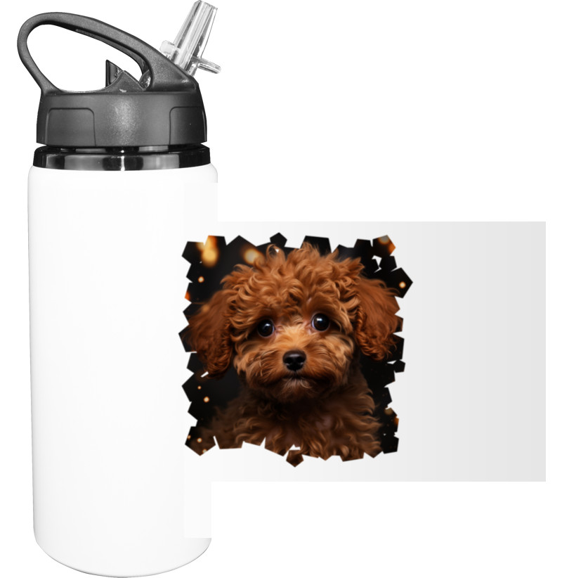 Sport Water Bottle - Тoy poodle 2 - Mfest