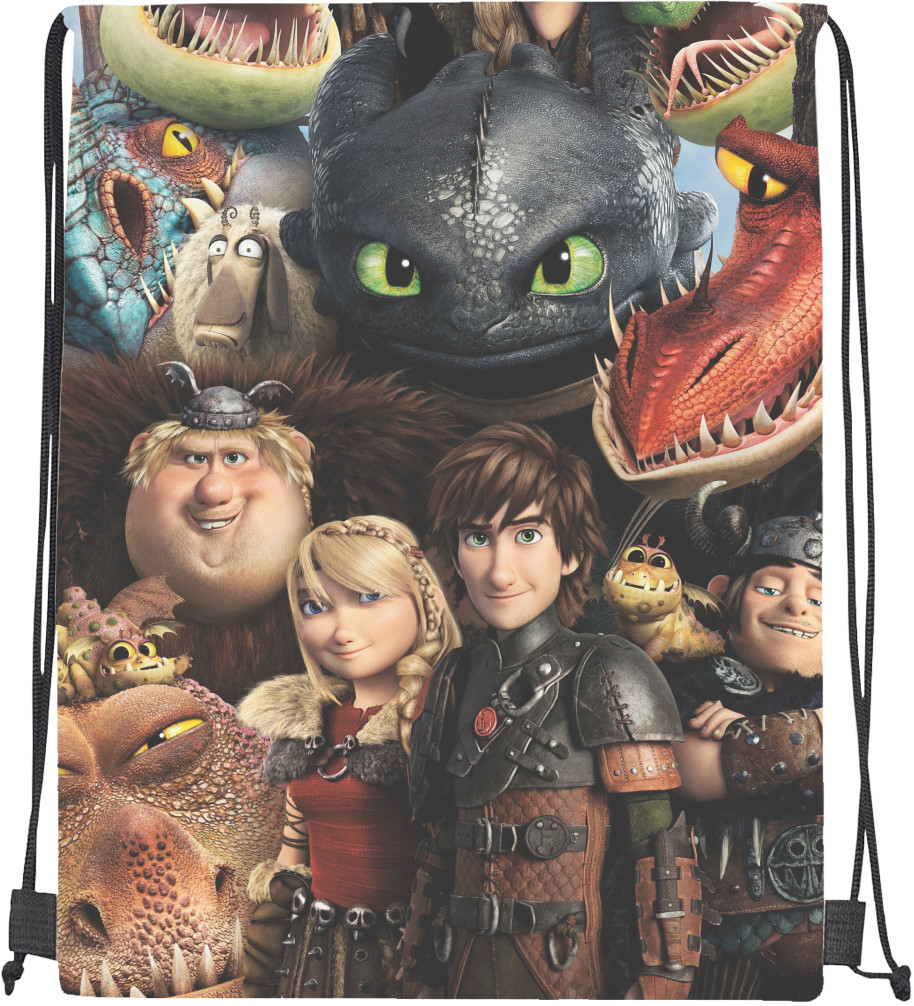 Drawstring Bag - How to Train Your Dragon - Mfest