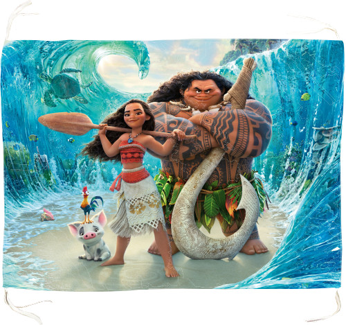 Moana Maui Pua And Hei Hei