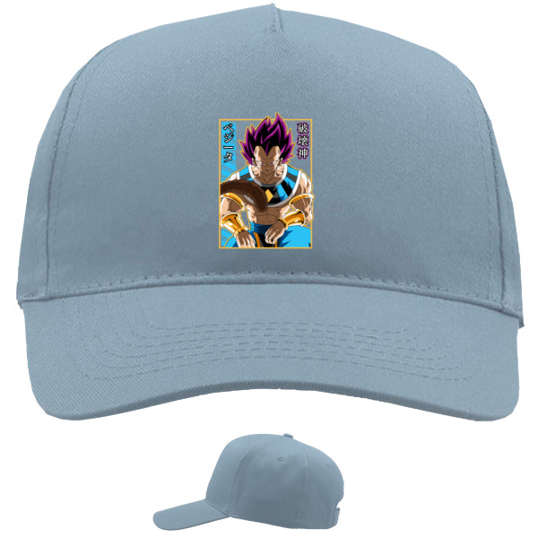 Vegeta Hakaishin