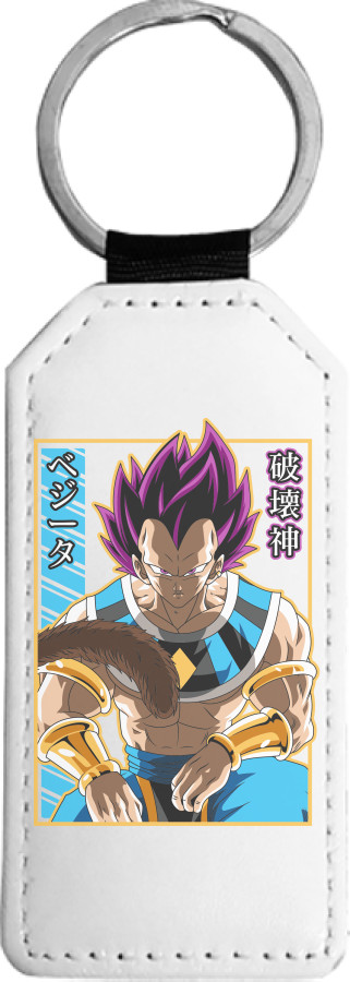 Vegeta Hakaishin