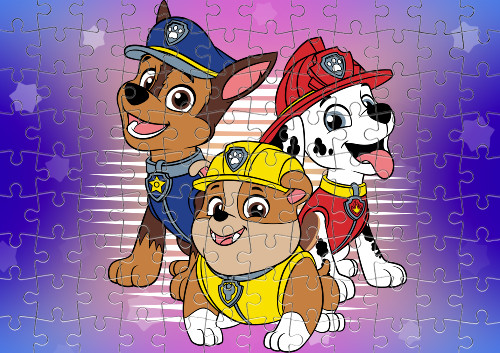 Paw Patrol  5