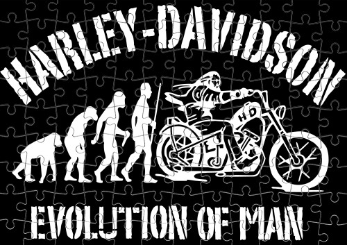 Harley davidson evolution