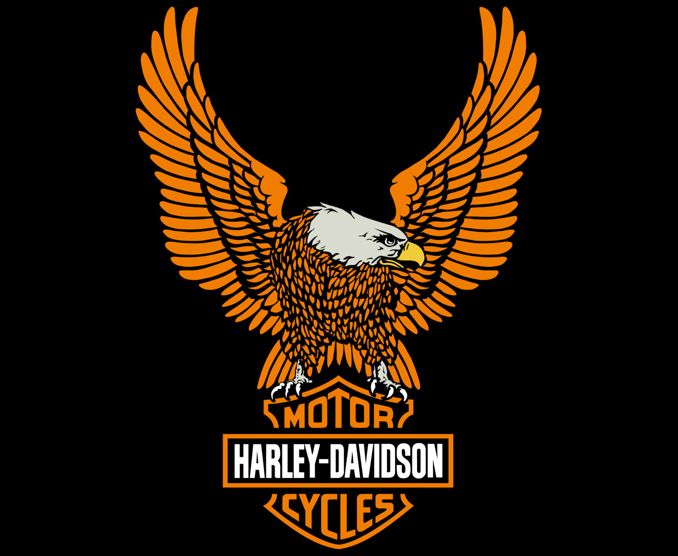 Harley Davidson eagle