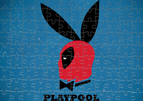 PlayPoo