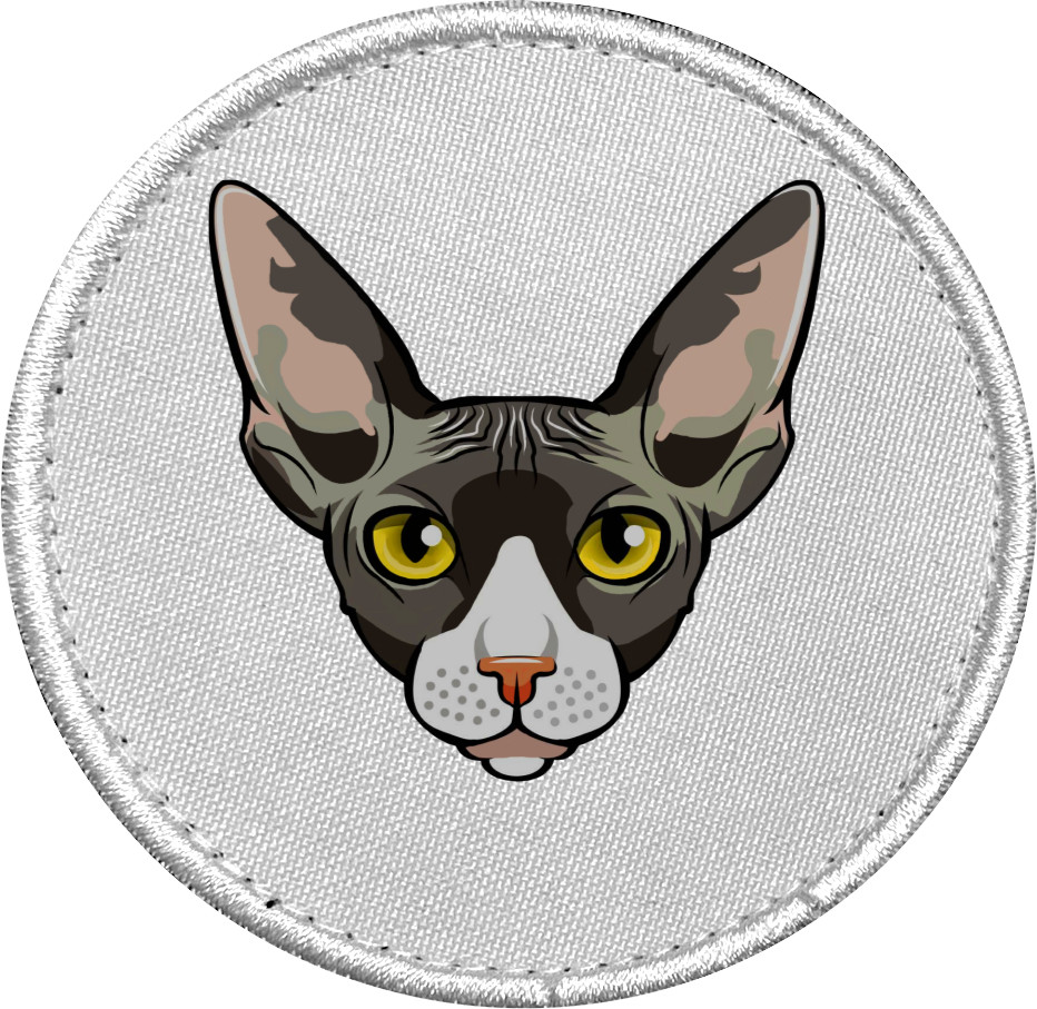 Chevron - Sphynx cat - Mfest