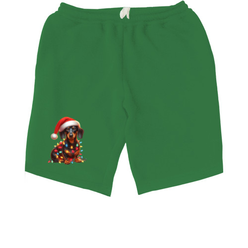 Kids' Shorts - New Year's dachshund - Mfest