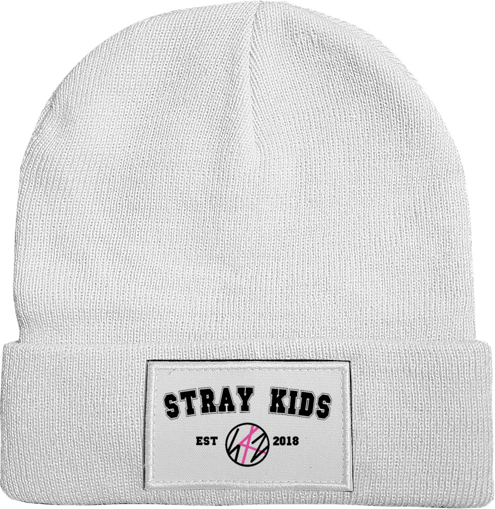 stray kids logo