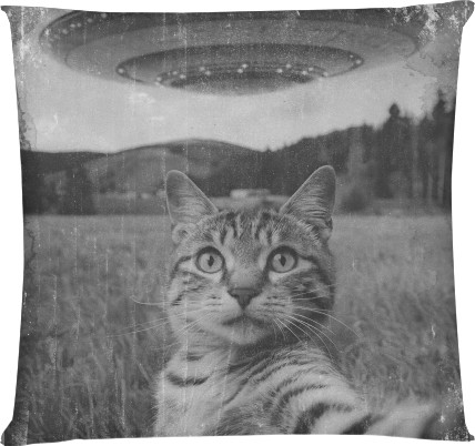 Cat & UFO