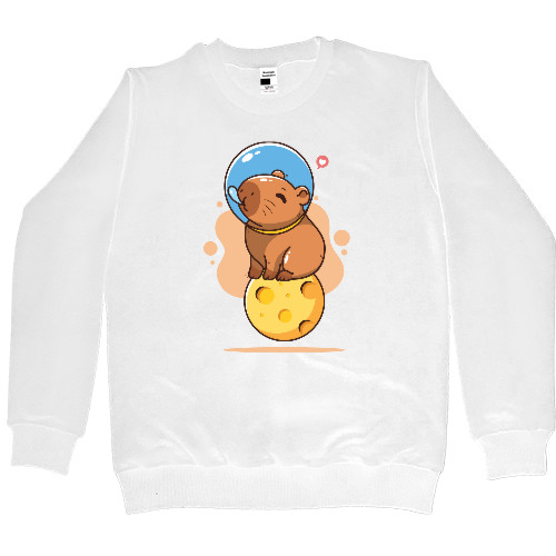 Capybara astronaut