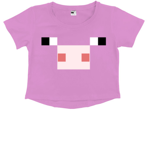 Minecraft pig