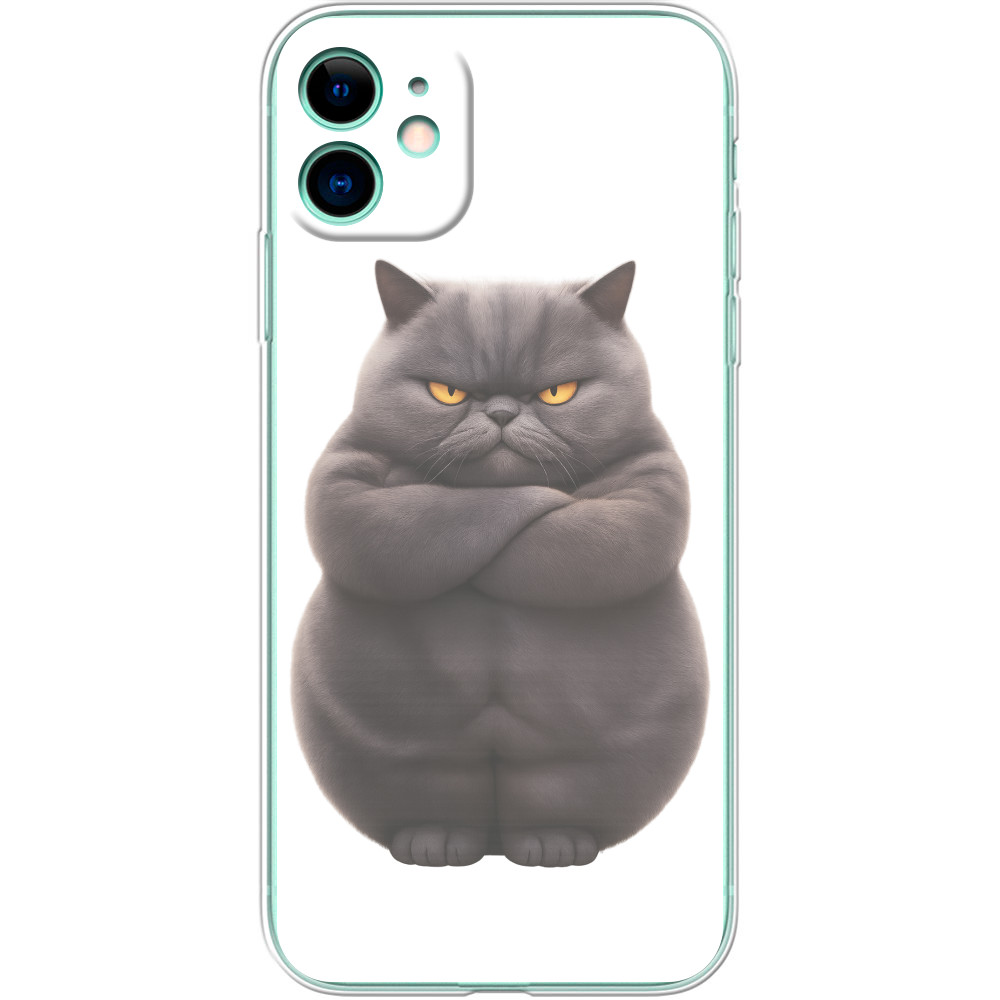Чехол iPhone - Недовольный кот - Mfest