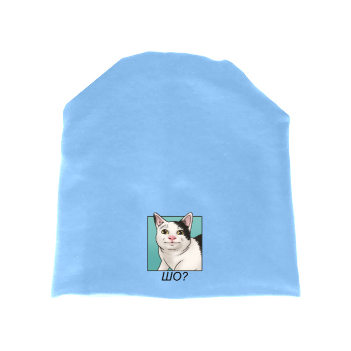 Кот шо