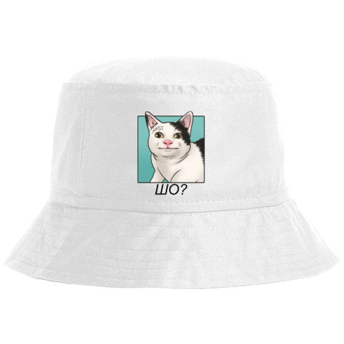 Кот шо