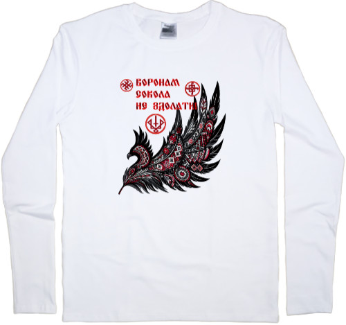 Сокіл